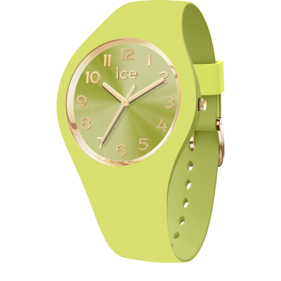 Ice Watch® Analogique 'Ice Duo Chic - Lime' Femmes Montre (Petite) 021820